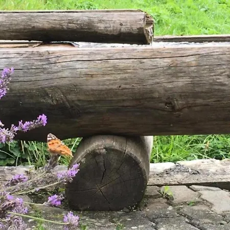 Apartment Bachsbort 14 4- Bett Parterre, Freie Sicht Auf Eiger Grindelwald