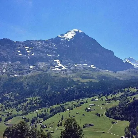 Bachsbort 14 4- Bett Parterre, Freie Sicht Auf Eiger Apartman