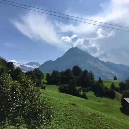 Bachsbort 14 4- Bett Parterre, Freie Sicht Auf Eiger *