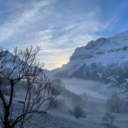 Bachsbort 14 4- Bett Parterre, Freie Sicht Auf Eiger Apartman Grindelwald